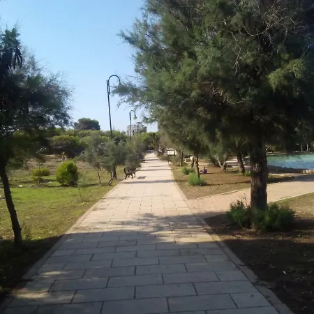 Cabo Cervera Front Sea 또레비에하